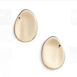 NWOT Alexis Bittar Earrings